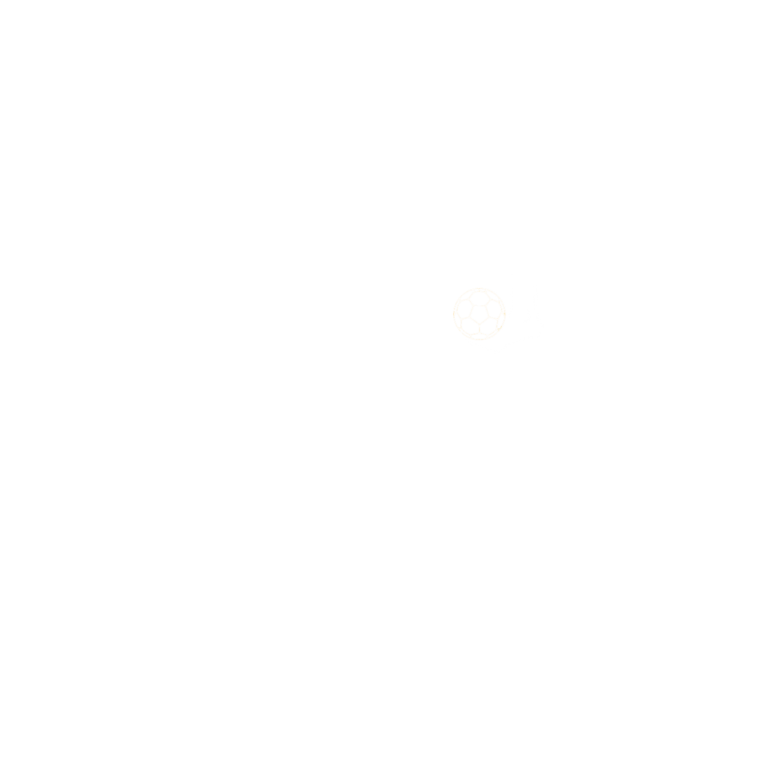 Balón y pie