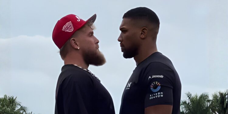 Jake Paul vs Anthony Joshua: Dónde, cuándo y cómo ver la pelea en México