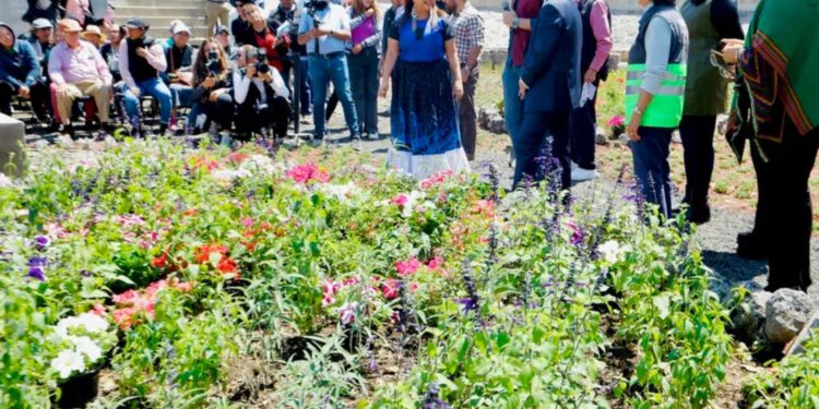 Captación de agua, Estadio Azteca